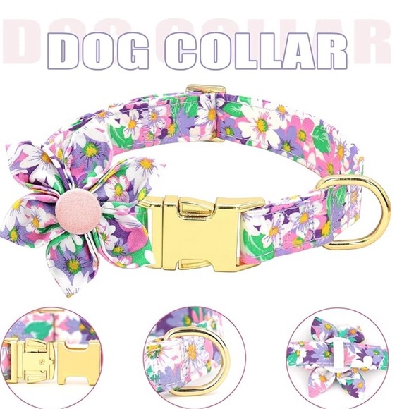 Beirui Cute Girl Dog Collars, Harnesses & Leash Set - Adjustable - Picture 3 of 7